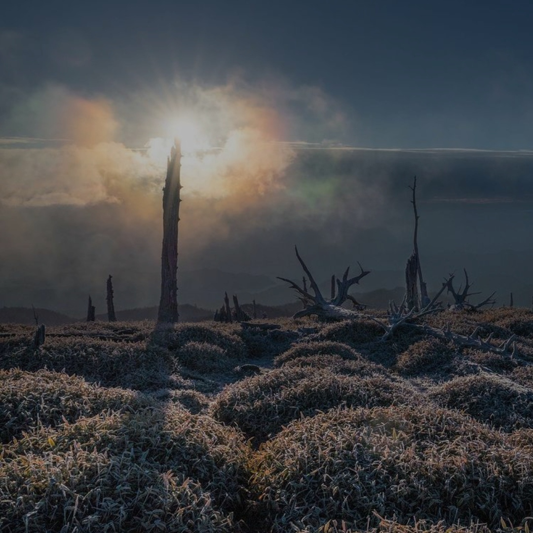 محمد تبادکانی اشکام میباره دستام داره هواتو کردم عشقم امشب